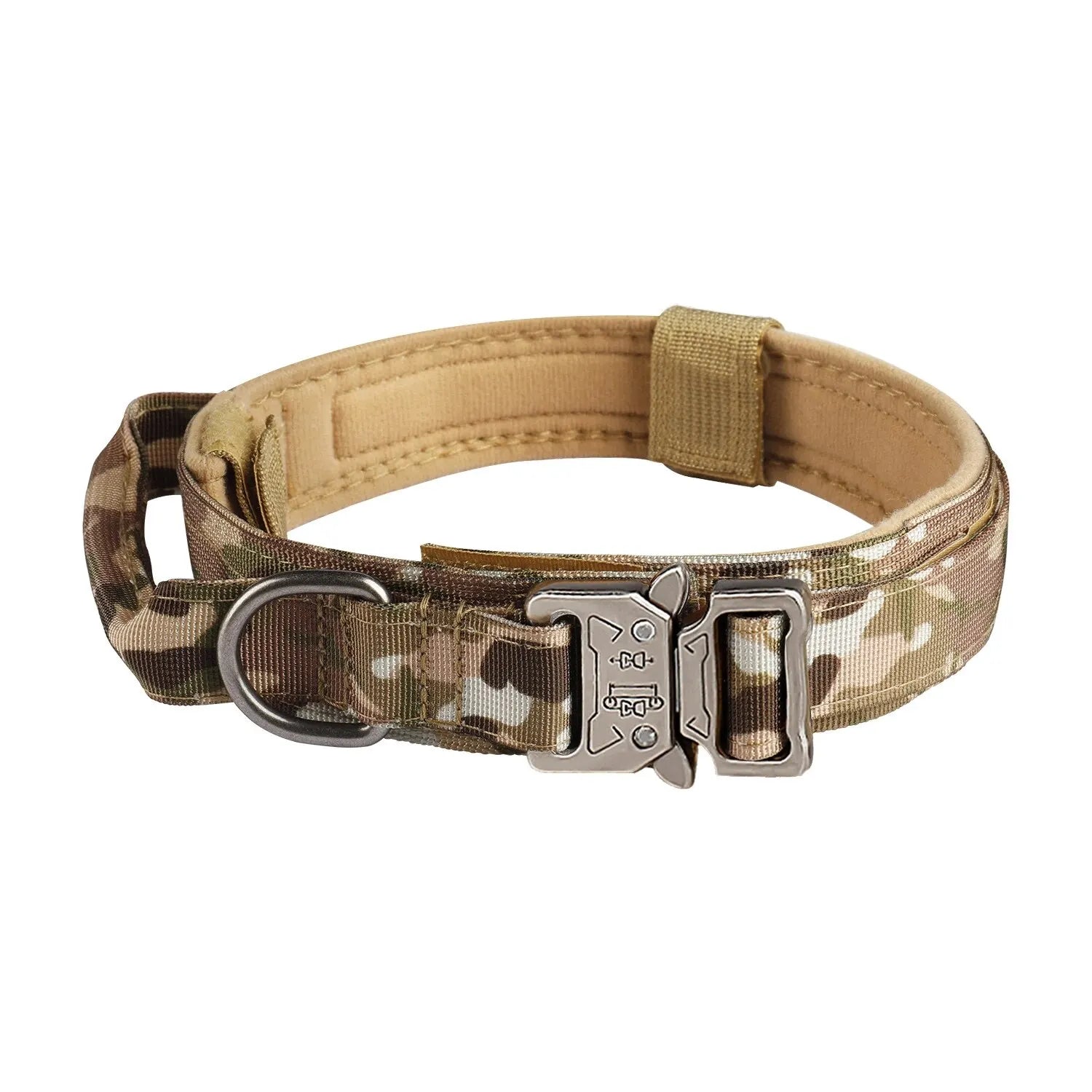 Nylon Dog Collar with Metal Buckle