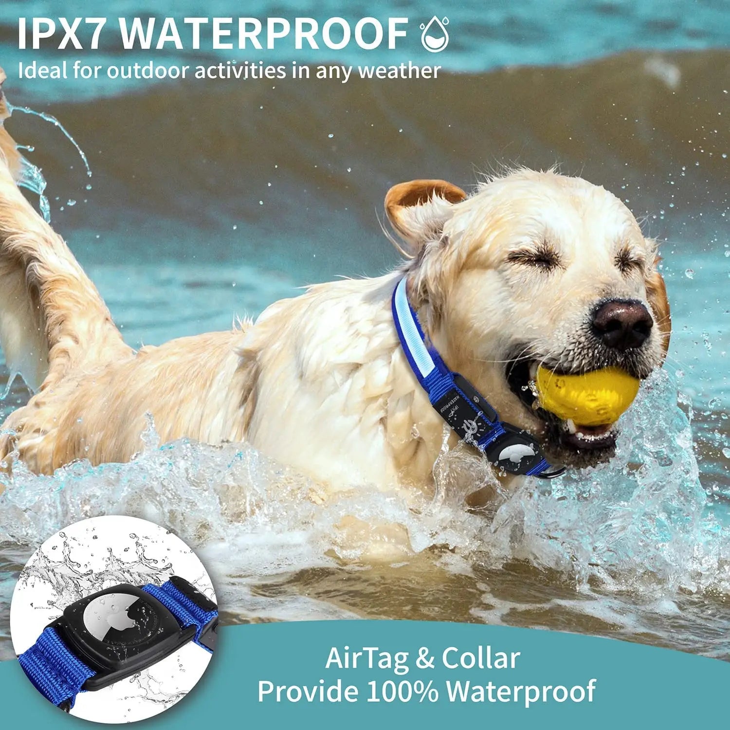 Rechargeable LED Light Dog Collar With Built-in AirTag Holder