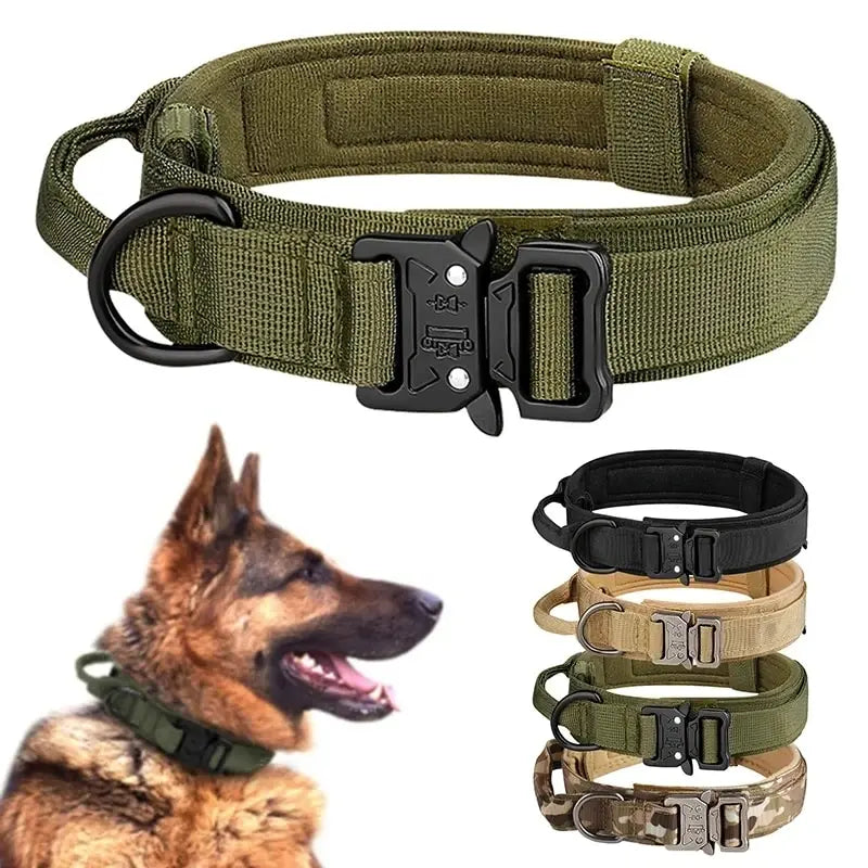Nylon Dog Collar with Metal Buckle