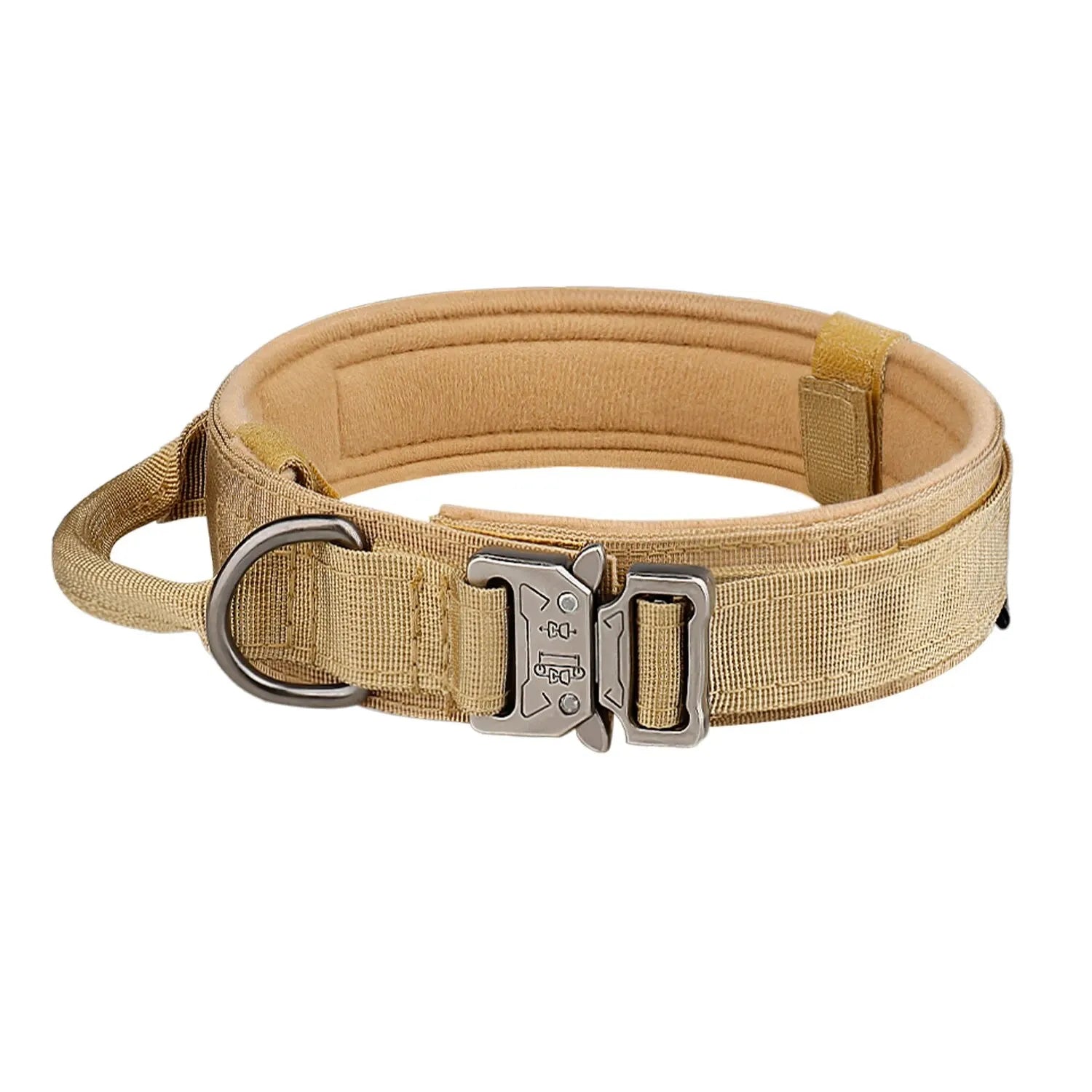 Nylon Dog Collar with Metal Buckle